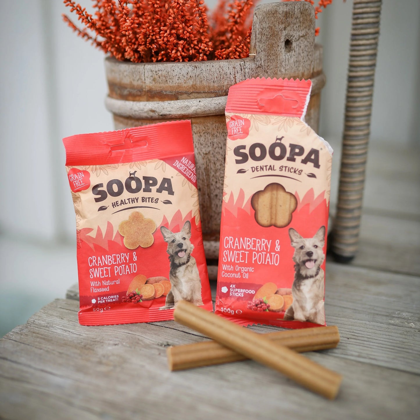 Chew Sticks | Cranberry & Sweet Potato (4-pack)