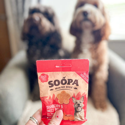 Dog treats | Cranberry and sweet potato (50g, 50 pieces)