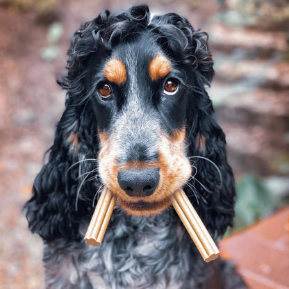 Chew Sticks SENIOR | Banana and Pumpkin (4-pack)