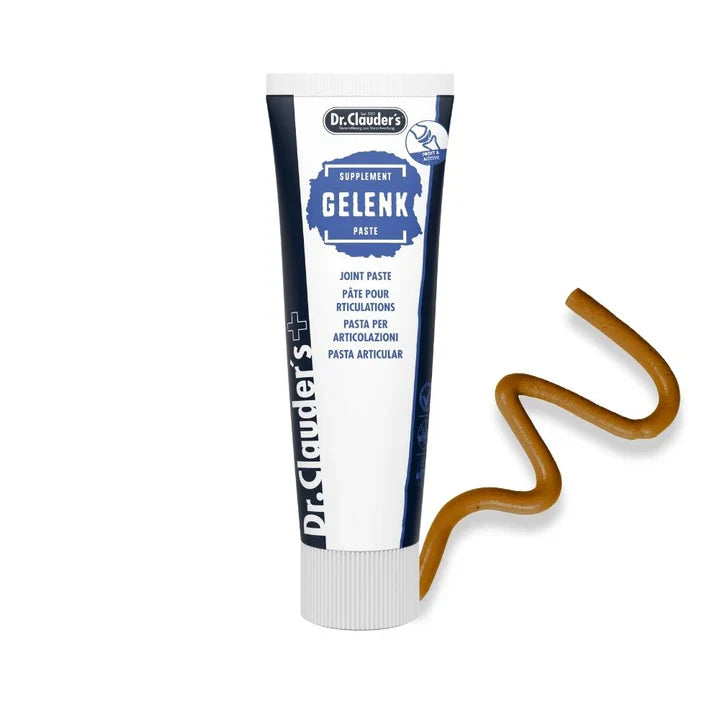 Joint paste (100g)