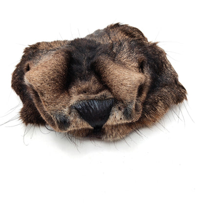 Swedish moose nose