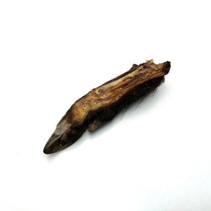 Swedish split wild boar trotter with skin and hoof