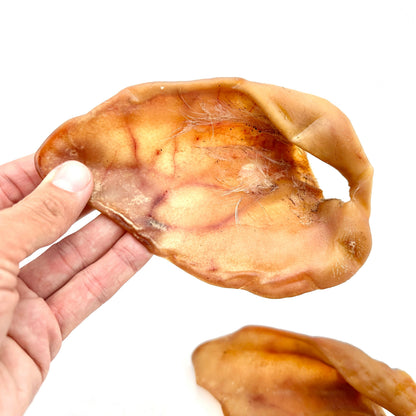 Swedish pig ear