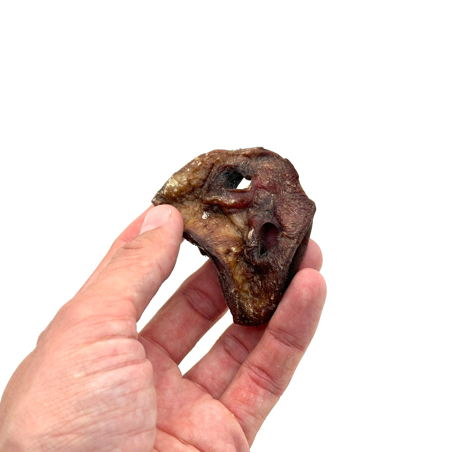 Swedish pig's snout