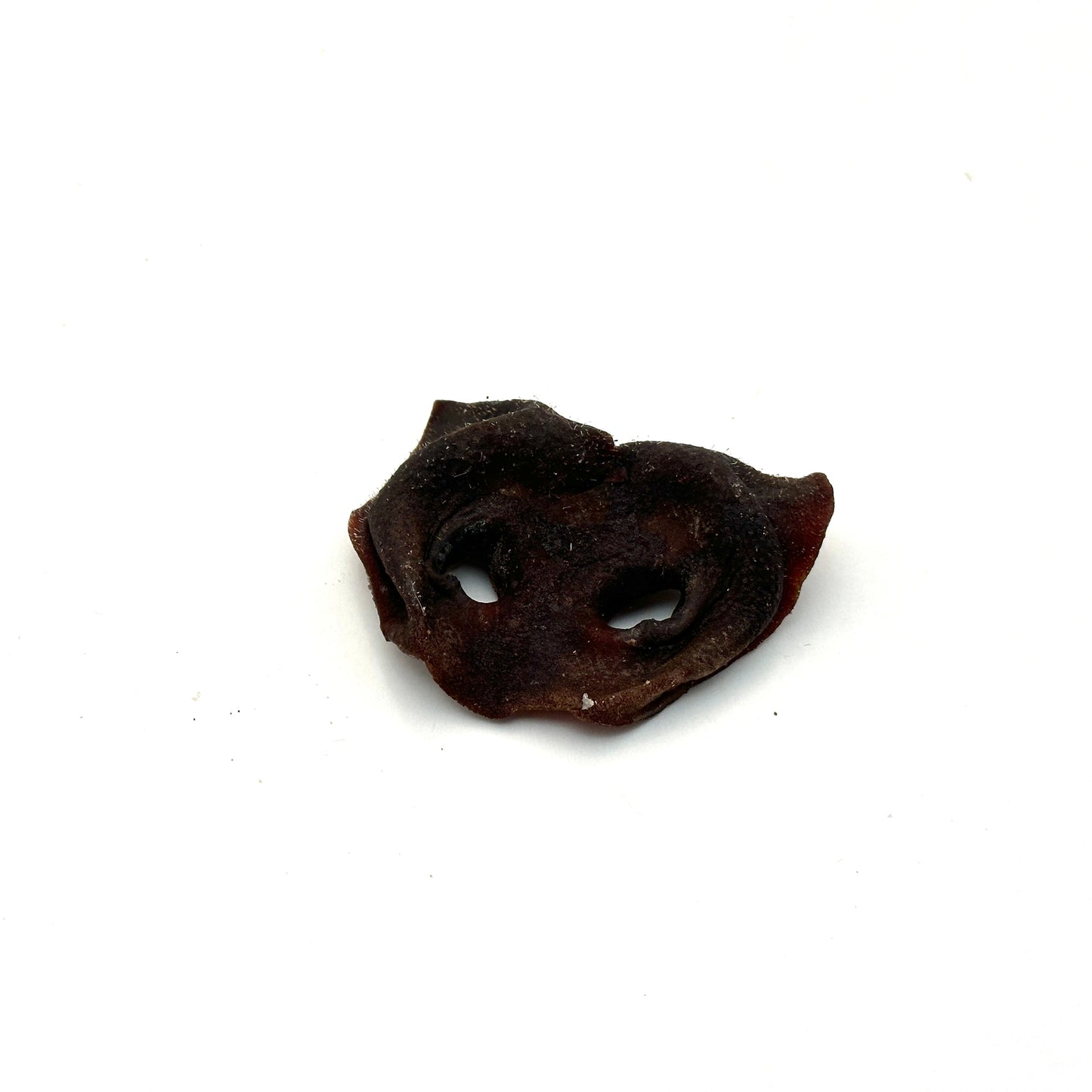 Swedish pig's snout