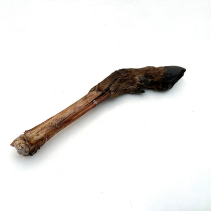 Swedish deer leg with fur and hoof (approximately 35-45cm)