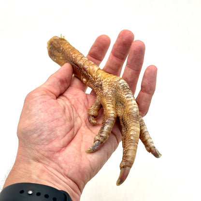 Swedish dried turkey foot (1kg)