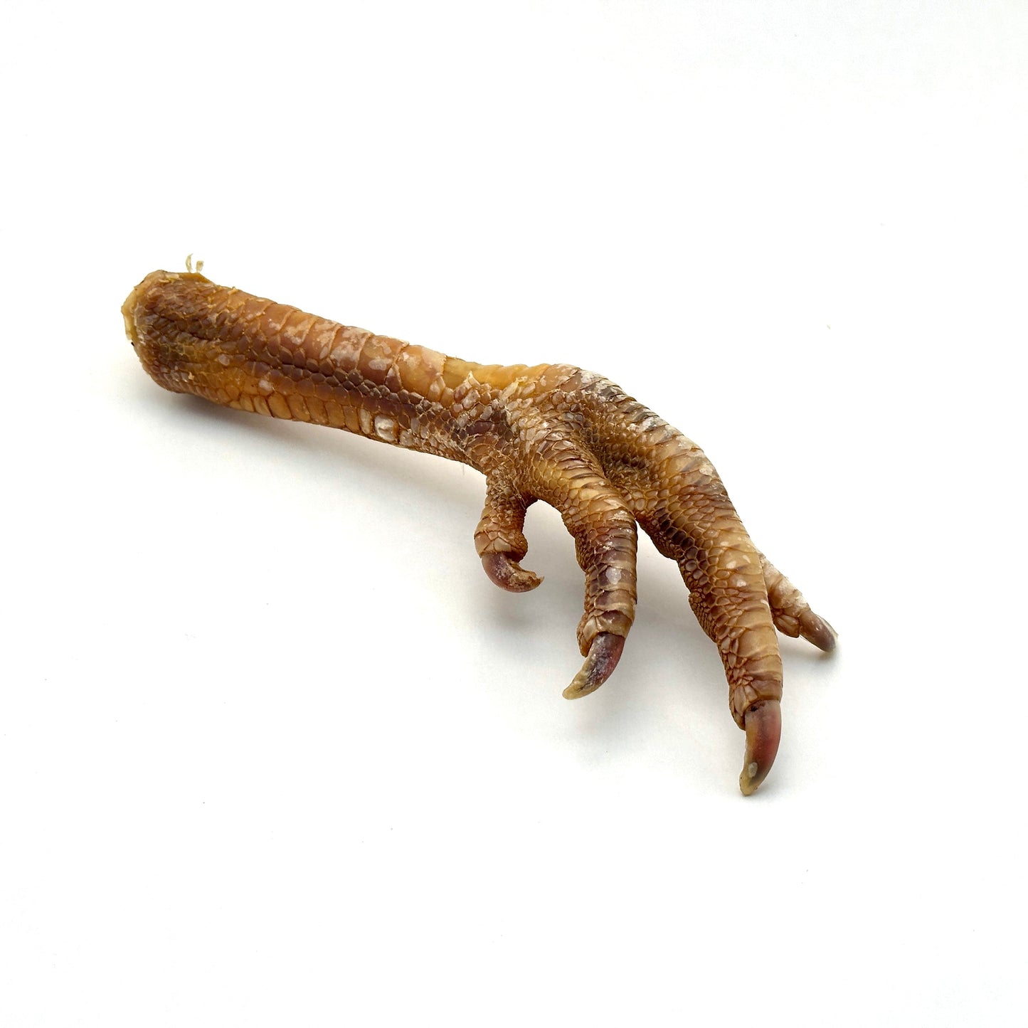 Swedish dried turkey foot (1kg)