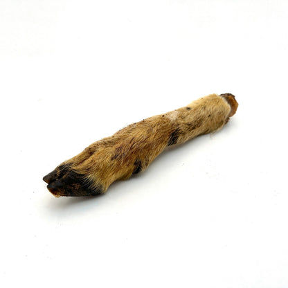 Swedish lamb legs with fur and hoof