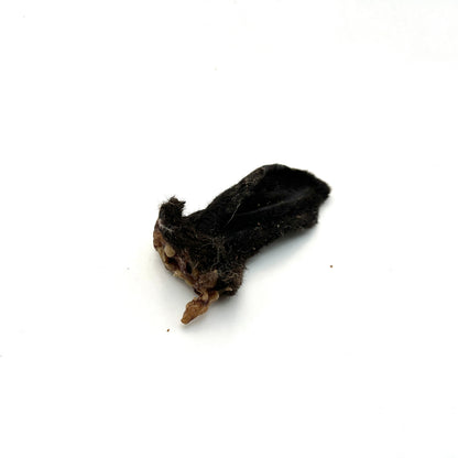 Swedish lamb's ear with fur