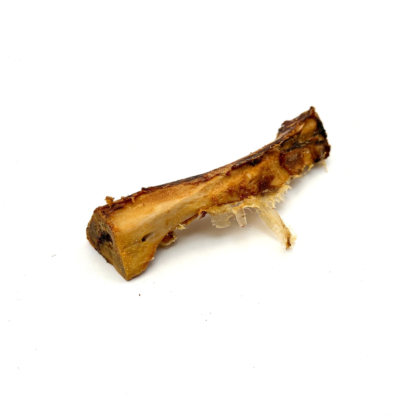 Swedish ox bone (15-20cm)