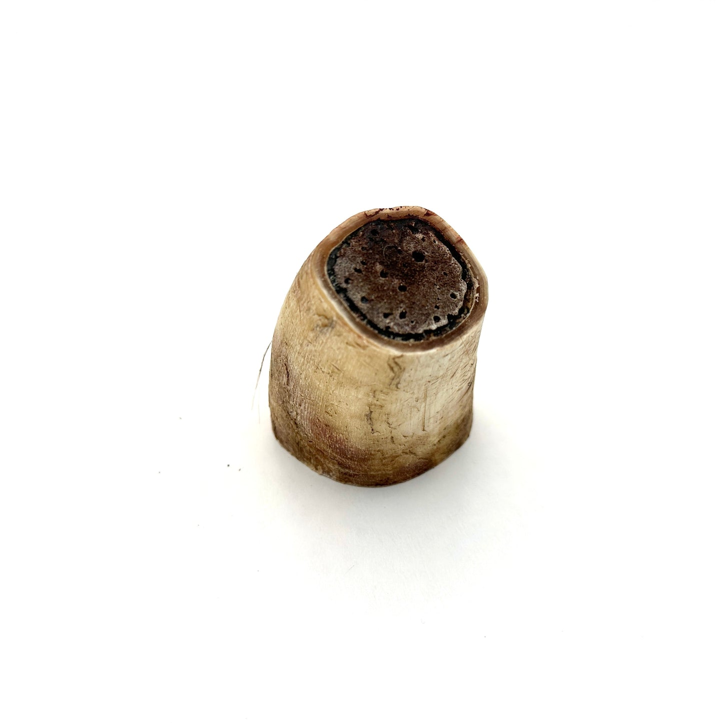 Swedish ox horn split