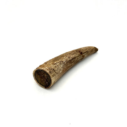 Swedish ox horn split