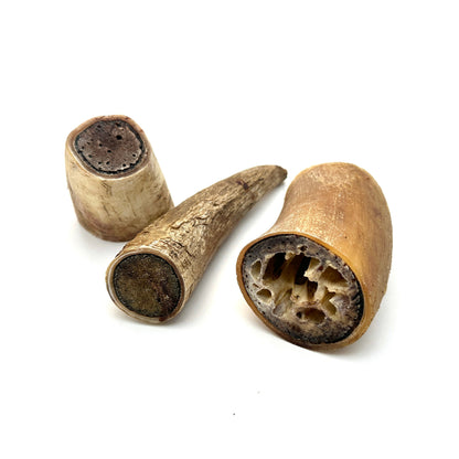 Swedish ox horn split