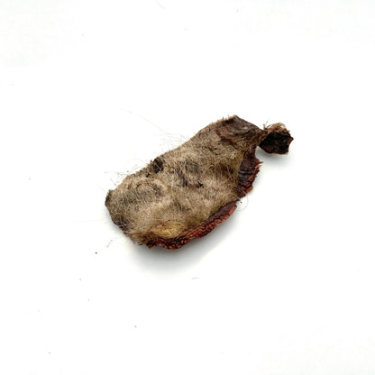 Swedish oxtail with fur