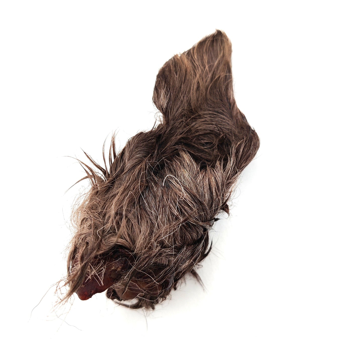Swedish reindeer ear with fur