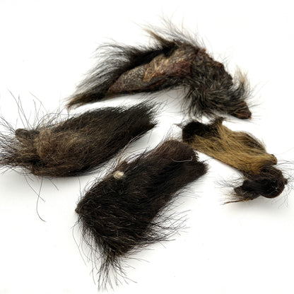 Swedish wild boar skin with fur (1kg)