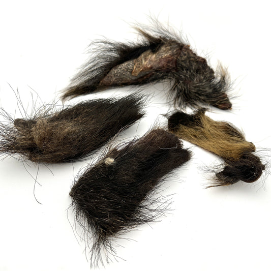 Swedish wild boar skin with fur (1kg)