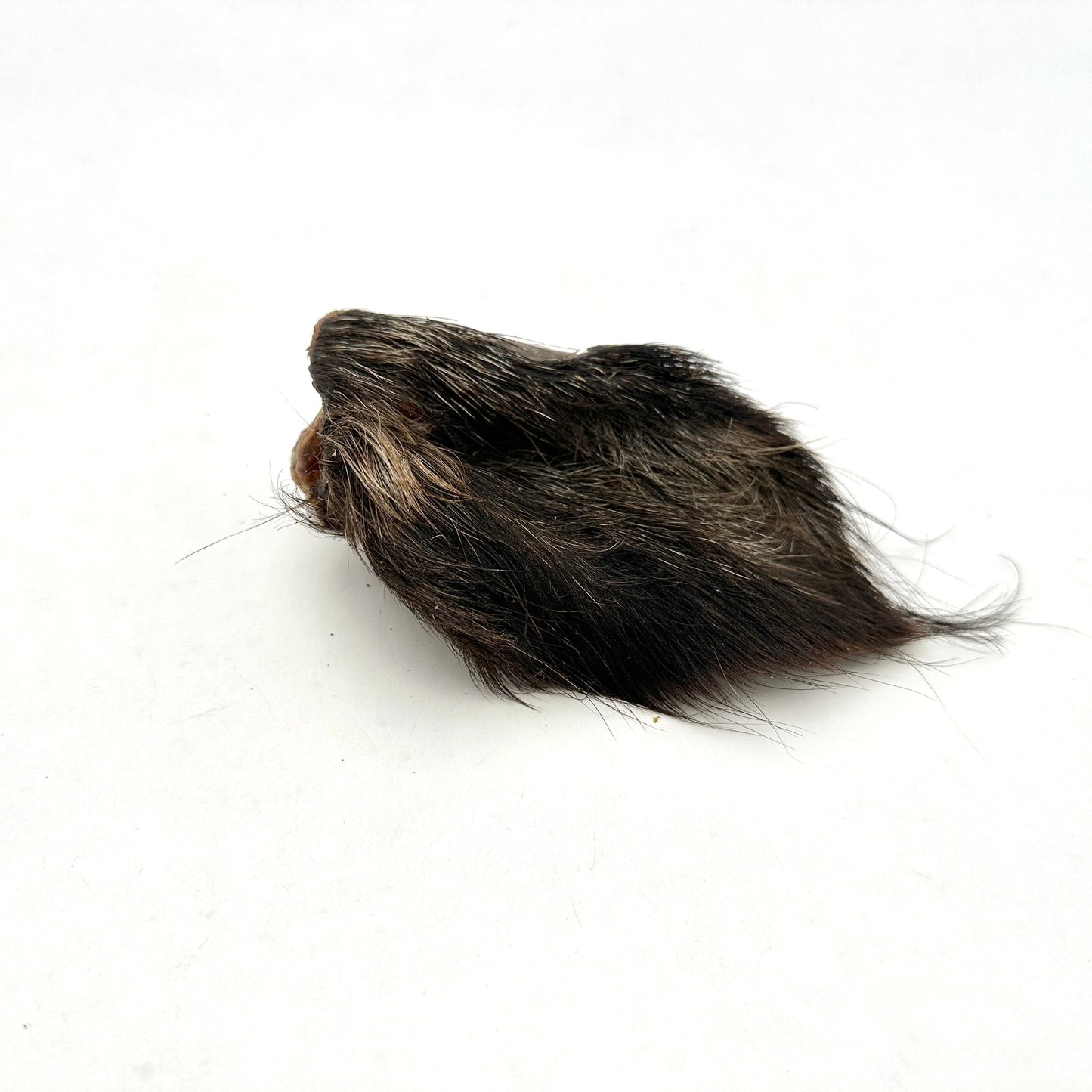 Swedish wild boar ear with fur (500g)
