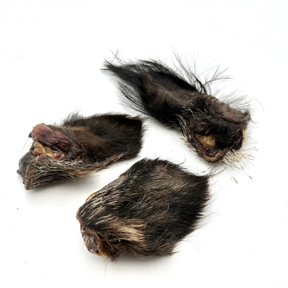 Swedish wild boar ear with fur (500g)