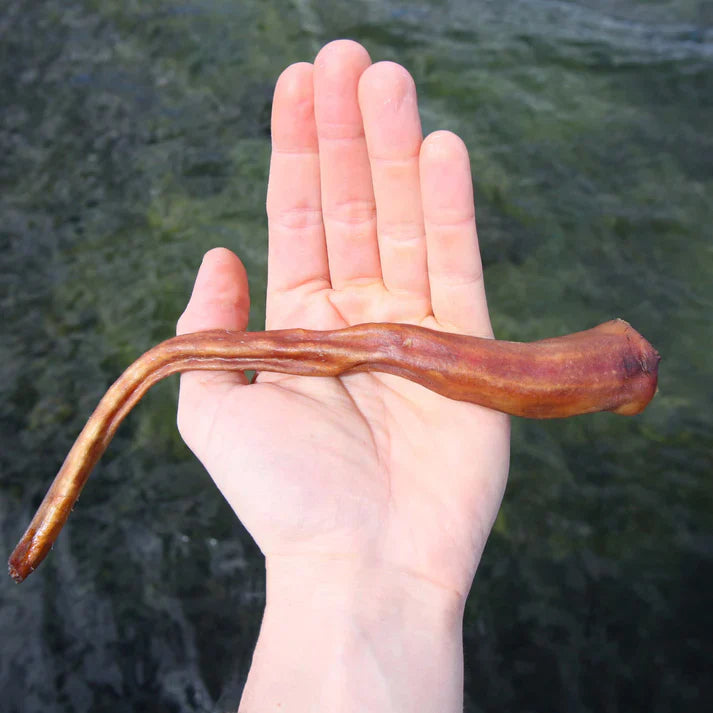 Swedish pig's tail