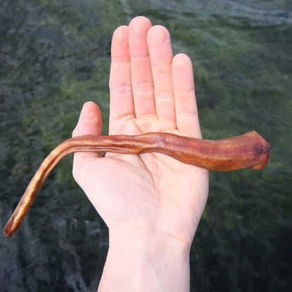 Swedish pig's tail