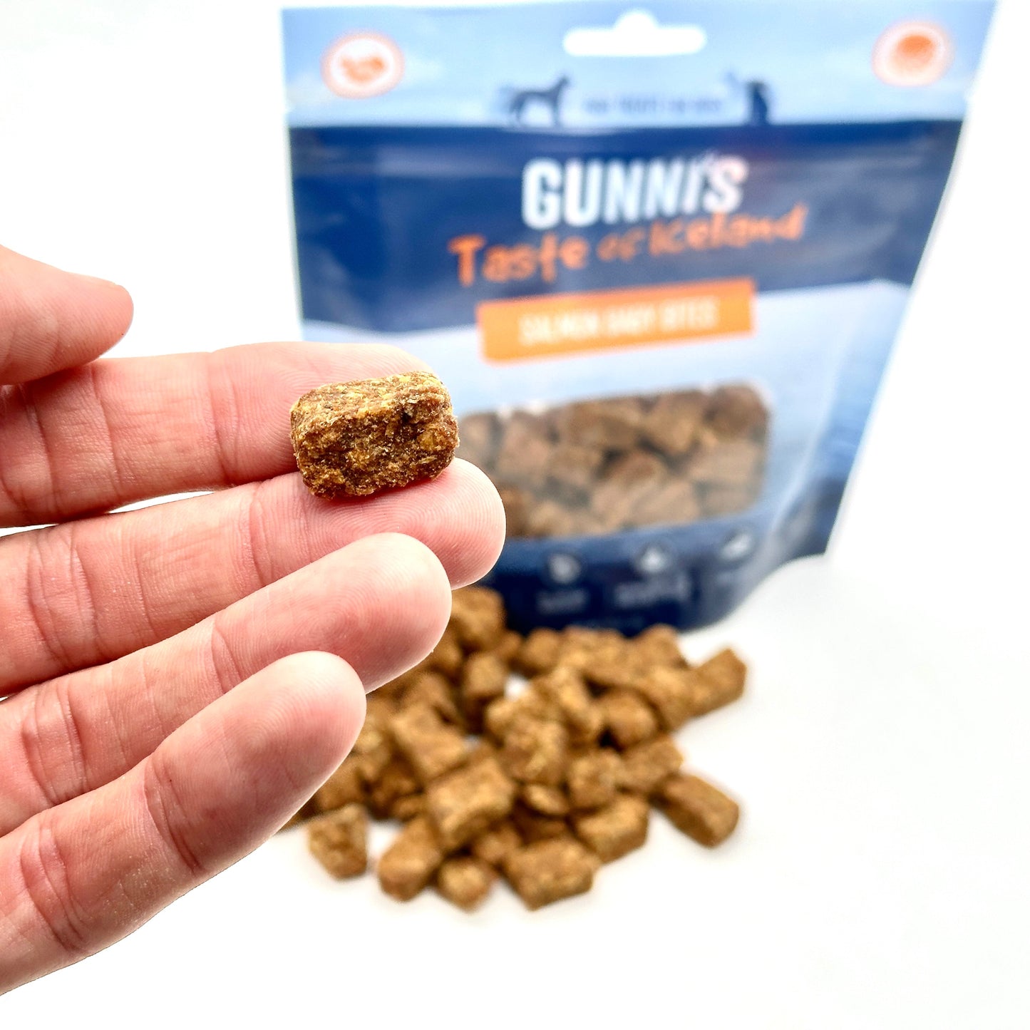 Pieces of salmon (85g)