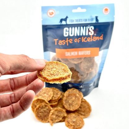 Salmon crackers (85g)