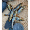 Fish Delights (100g)