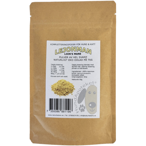 Lion's Mane (50g)