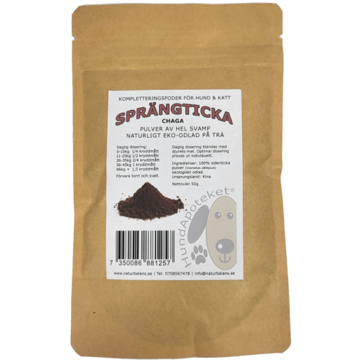 Chaga mushroom (50g)