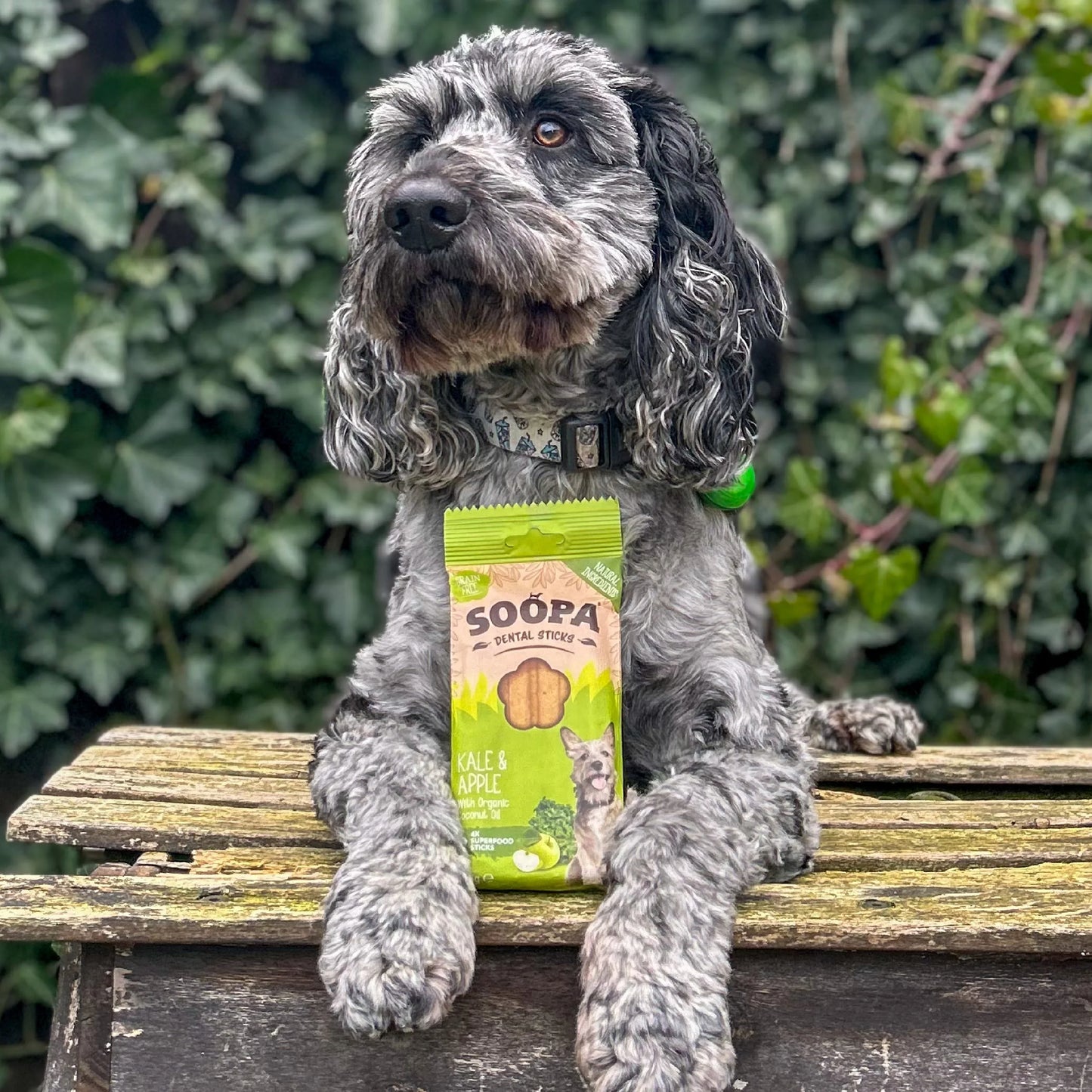 Chew Sticks | Kale & Apple (4-pack)