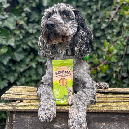 Chew Sticks | Kale & Apple (4-pack)