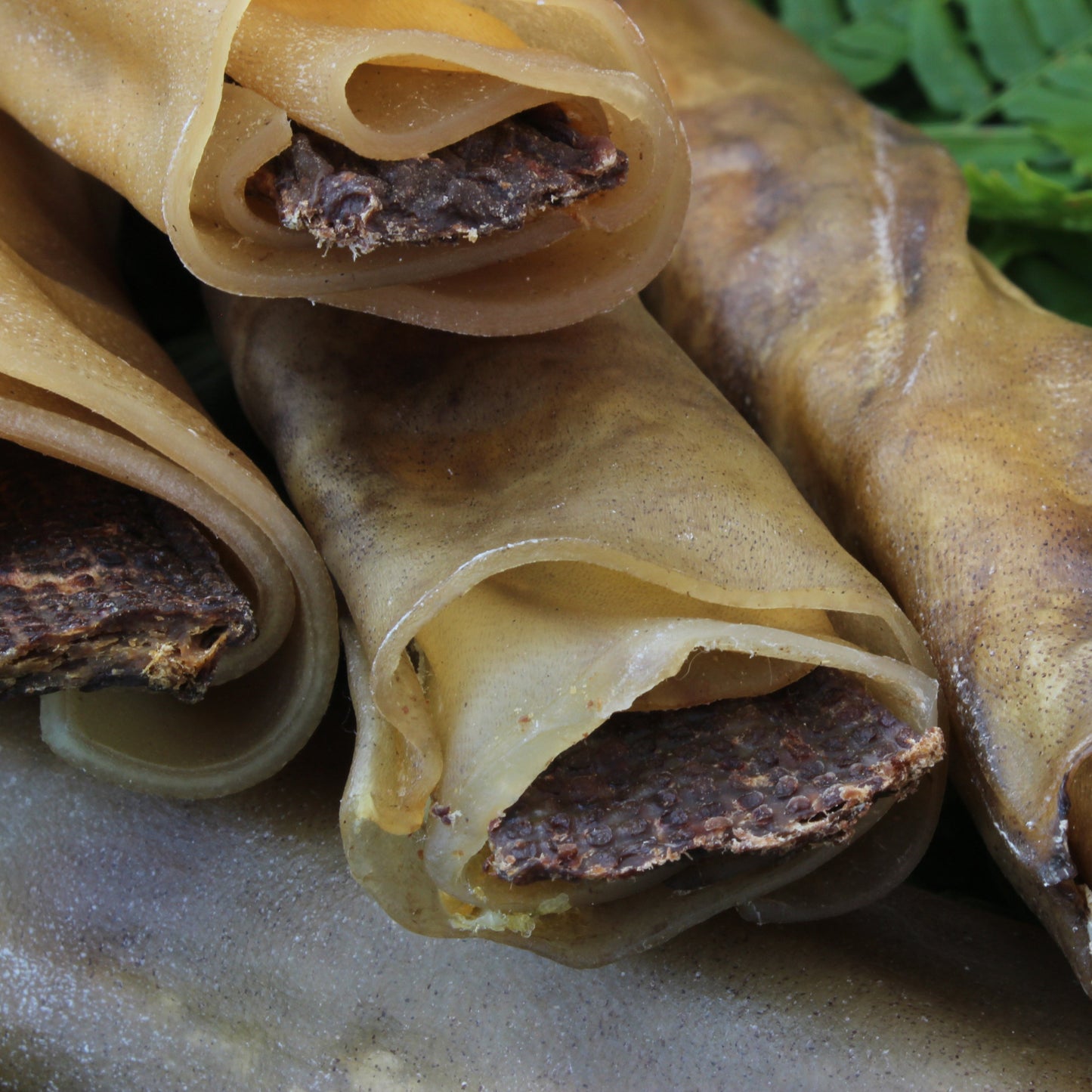 Moose roll filled with pig heart 20cm