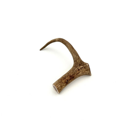Swedish reindeer antlers