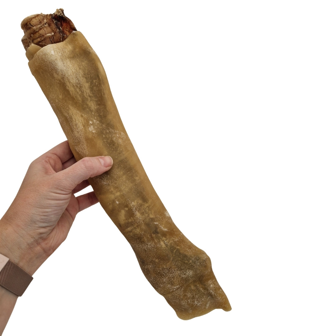 Beef Trachea XL