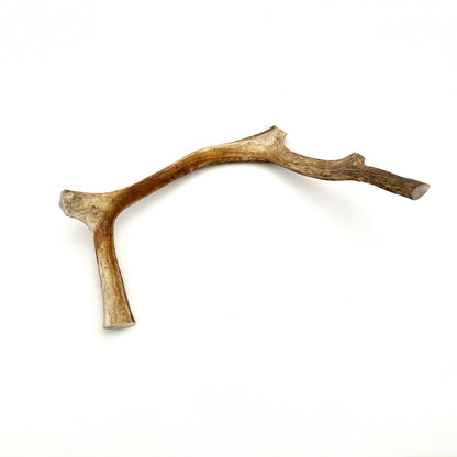 Swedish reindeer antlers