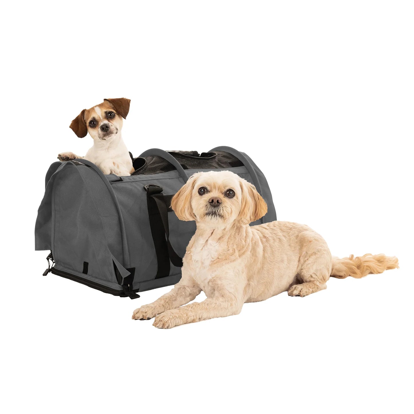 SturdiBag Pro 3.0 - Divided