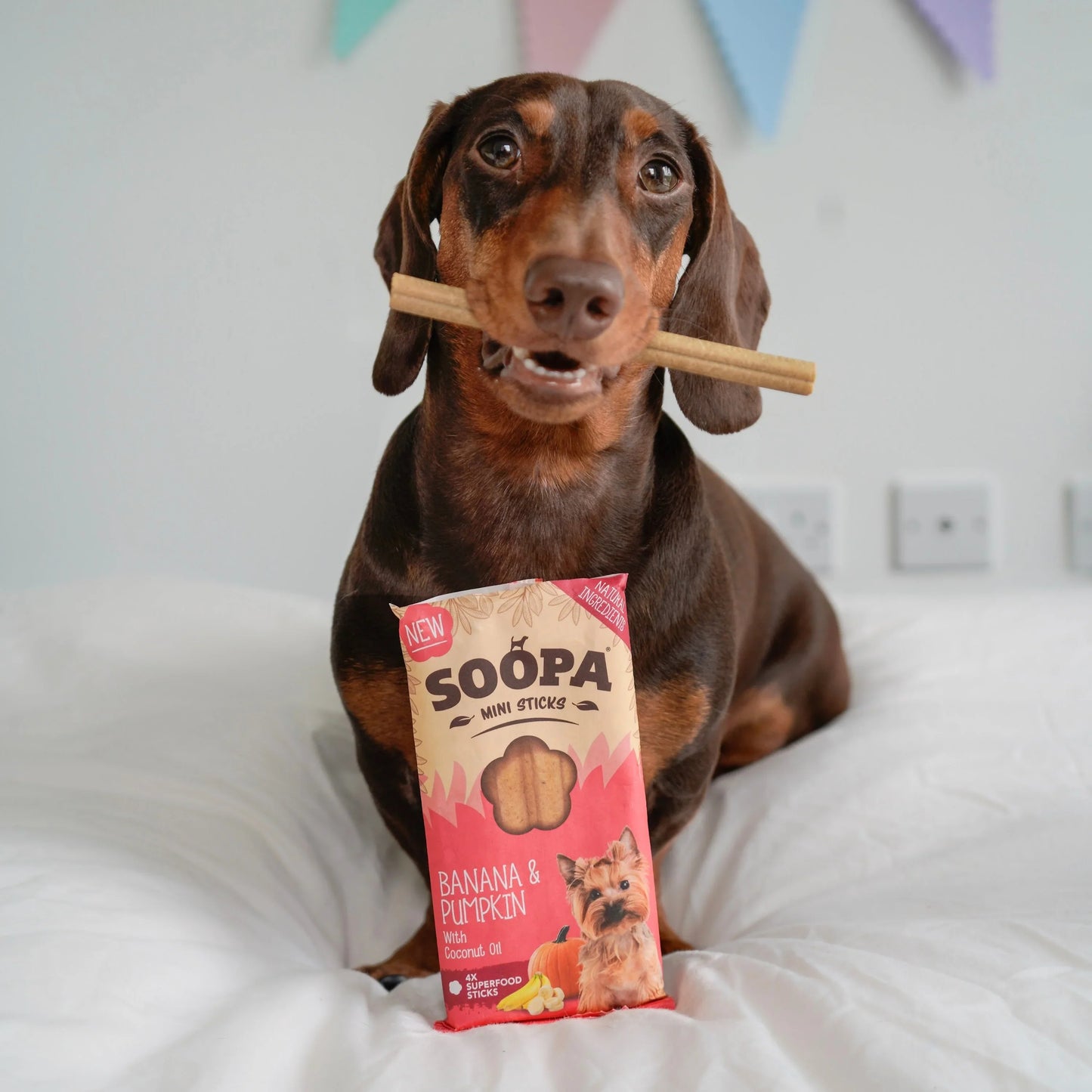 Soopa - Dental Sticks MINI | Banana & Pumpkin (8-pack)