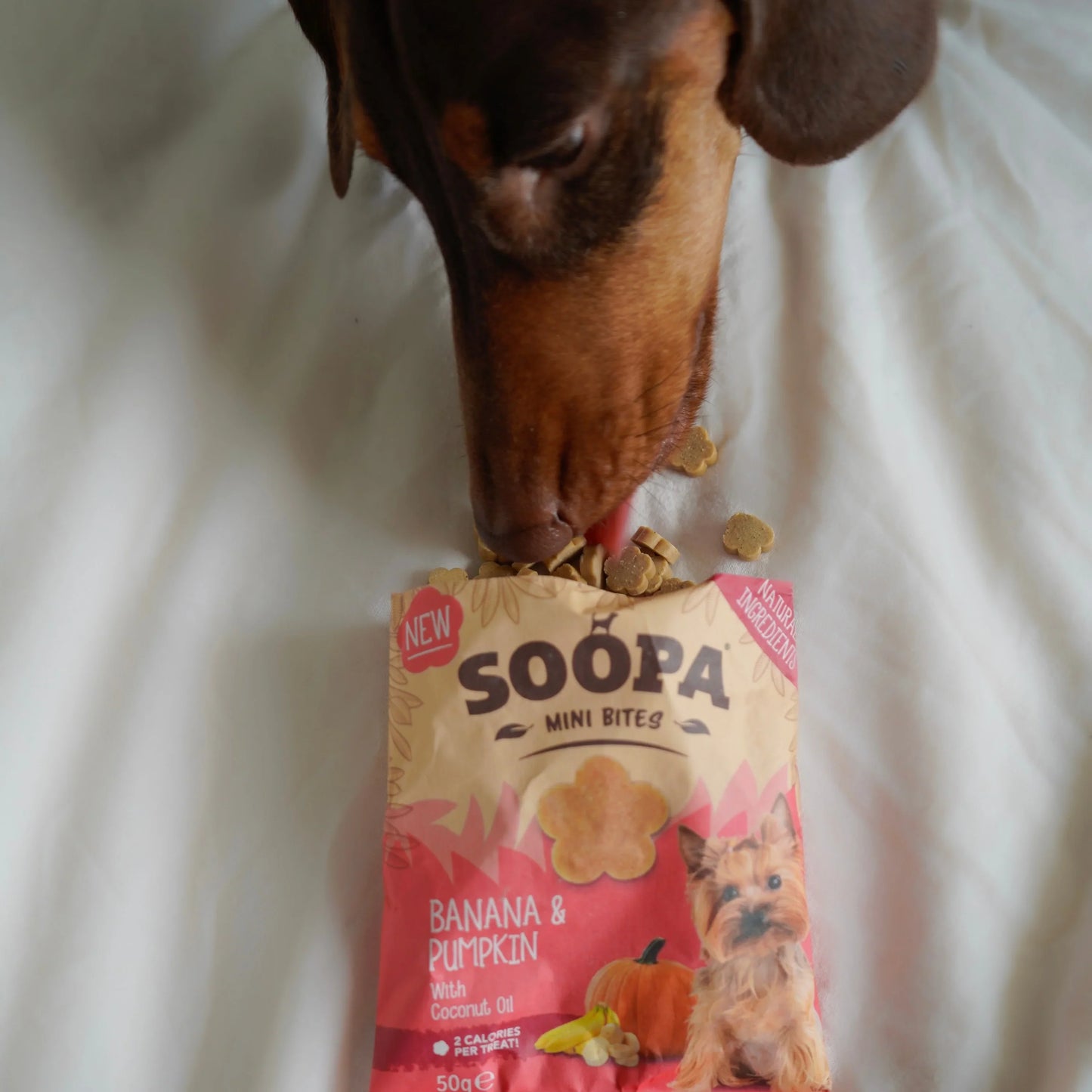 Dog Treats MINI | Banana and Pumpkin (50g, 100 pieces)