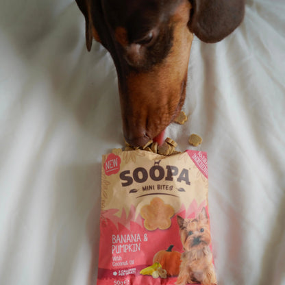 Dog Treats MINI | Banana and Pumpkin (50g, 100 pieces)