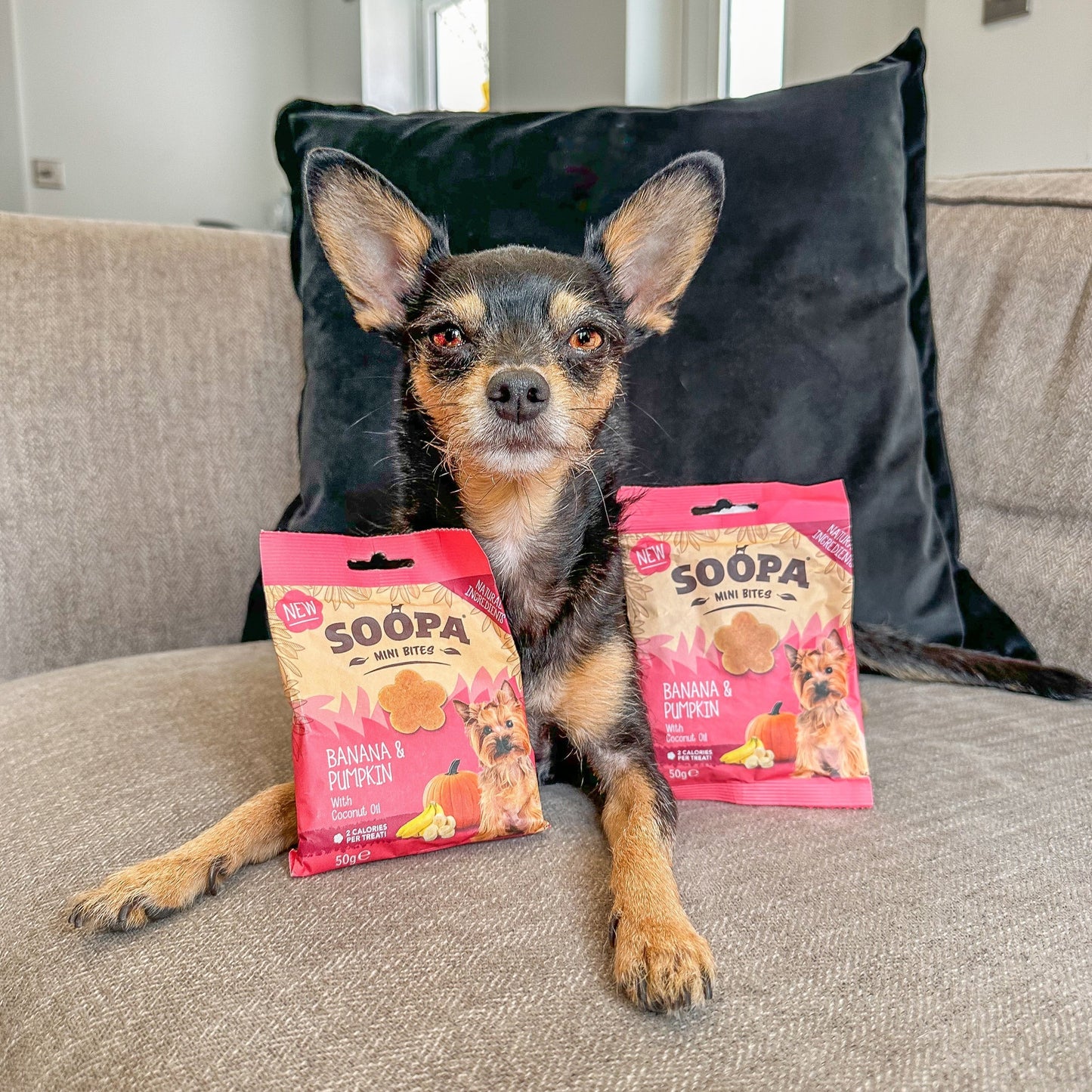 Dog Treats MINI | Banana and Pumpkin (50g, 100 pieces)