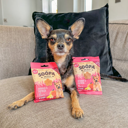 Dog Treats MINI | Banana and Pumpkin (50g, 100 pieces)