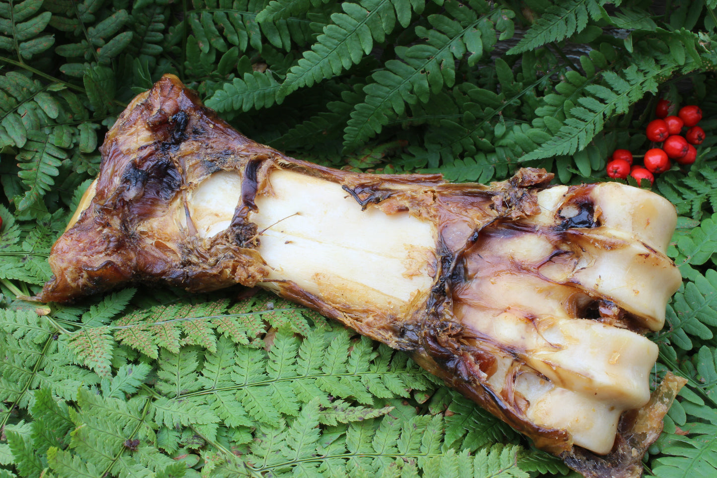 Selected - Veal bones 20-30cm