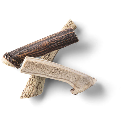 RAUH! - Split deer antler
