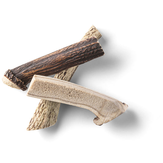 RAUH! - Split deer antler