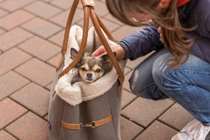 Pet Carrier Rachel