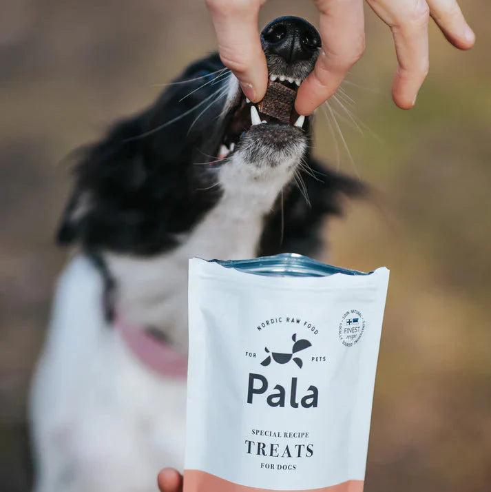 Dog treats made from 100% venison (100g)