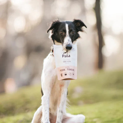 100% Pig Tongue Dog Treats (100g)