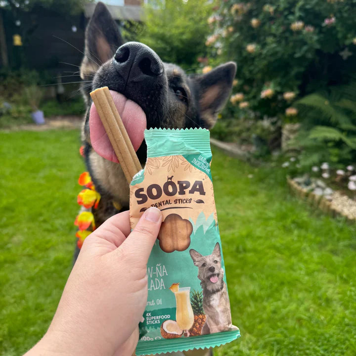 Chew sticks | Paw-Na Colada - Coconut & Pineapple (4-pack)